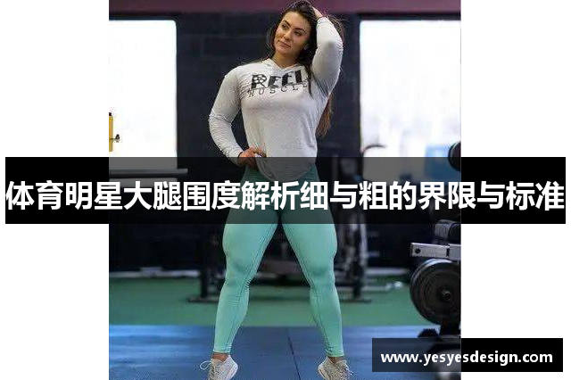 体育明星大腿围度解析细与粗的界限与标准