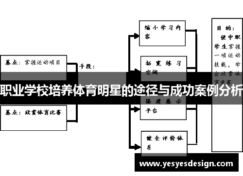 职业学校培养体育明星的途径与成功案例分析