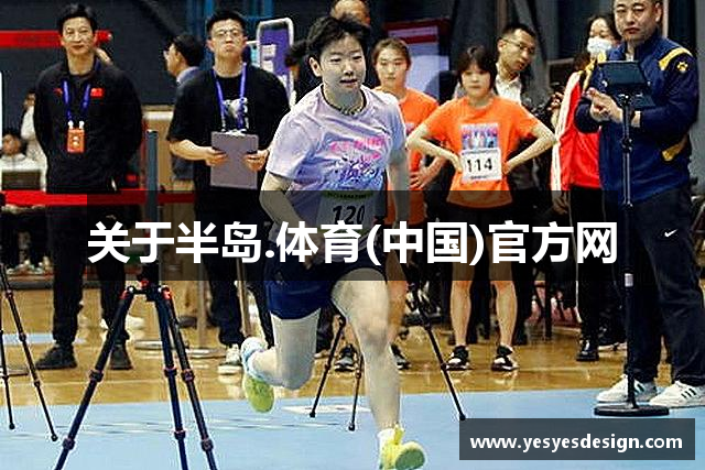 关于半岛.体育(中国)官方网